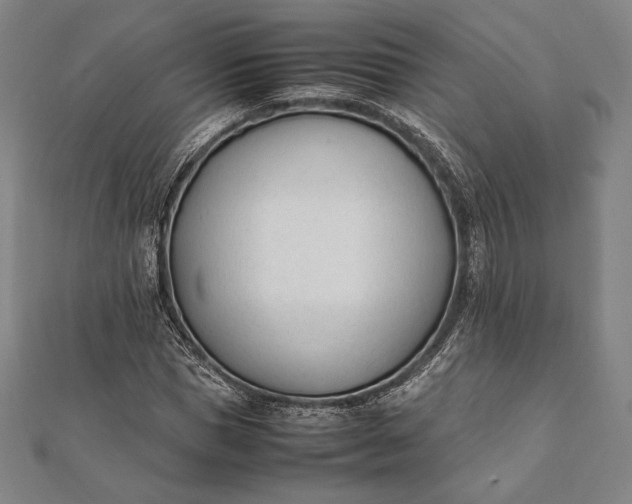 X0000112050921200908181133