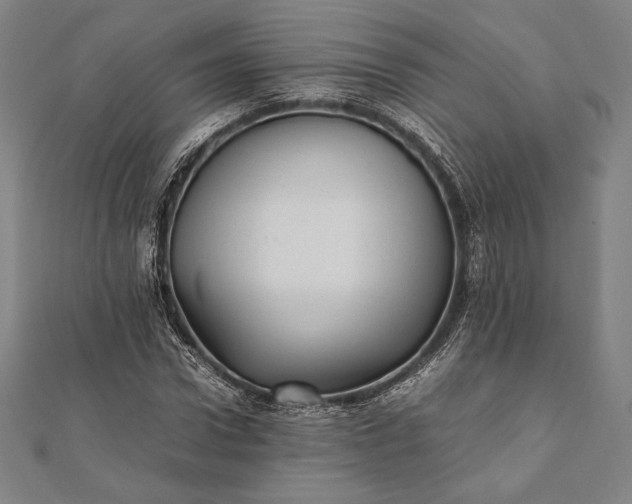 X0000112050922200908181133