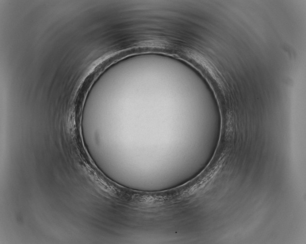 X0000112050923200908181133