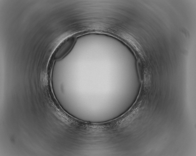 X0000112050924200908181133