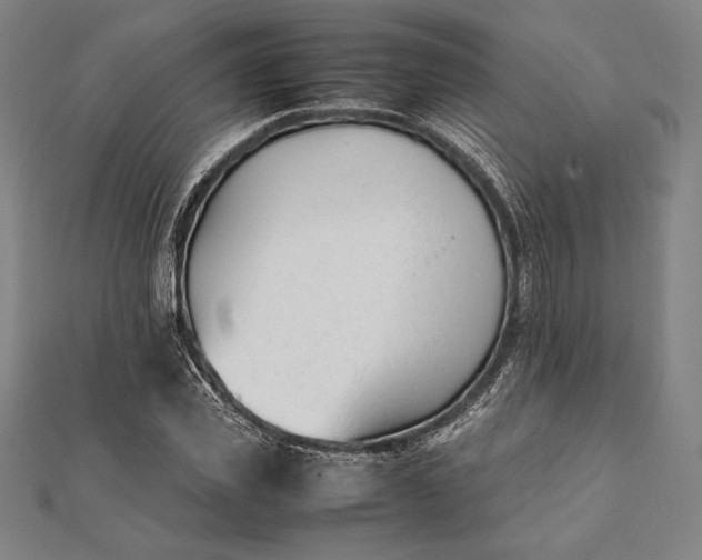 X0000112050925200908181133