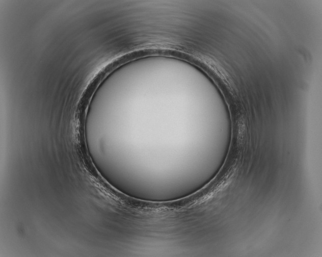 X0000112050926200908181133