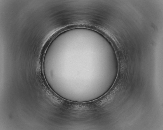 X0000112050927200908181133