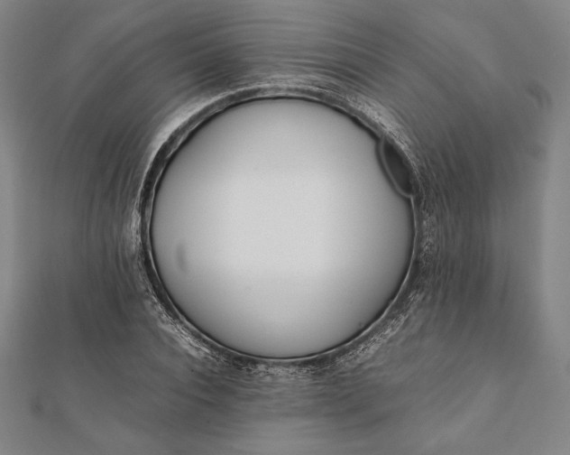 X0000112050928200908181133