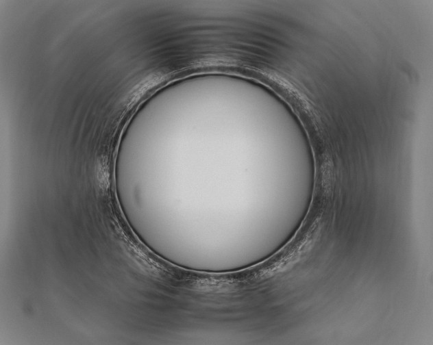 X0000112050929200908181133