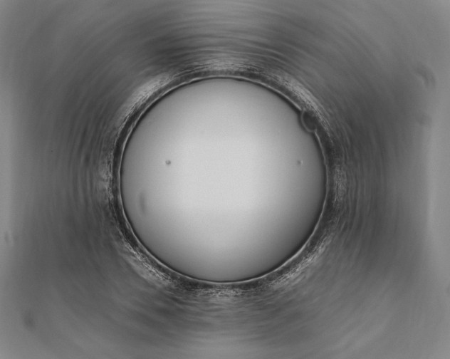 X0000112050930200908181133