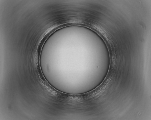 X0000112050931200908181133