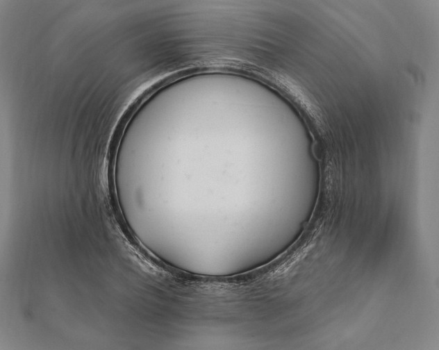 X0000112050932200908181133