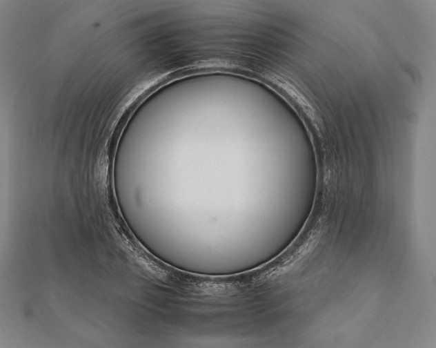 X0000112050933200908181133