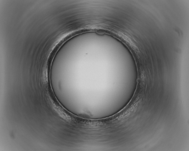 X0000112050934200908181133