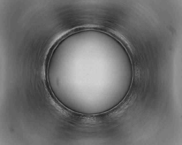 X0000112050935200908181133