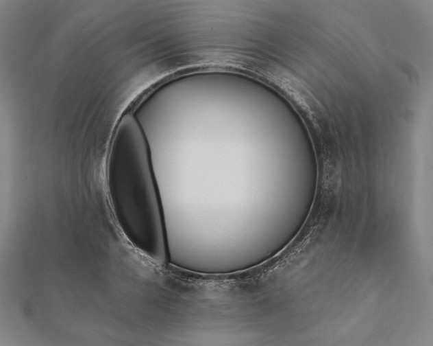 X0000112050936200908181133