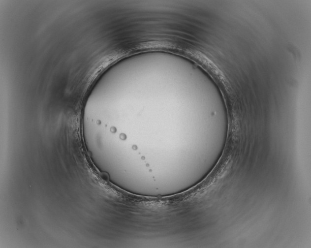 X0000112050937200908181133