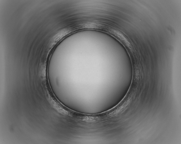 X0000112050938200908181133