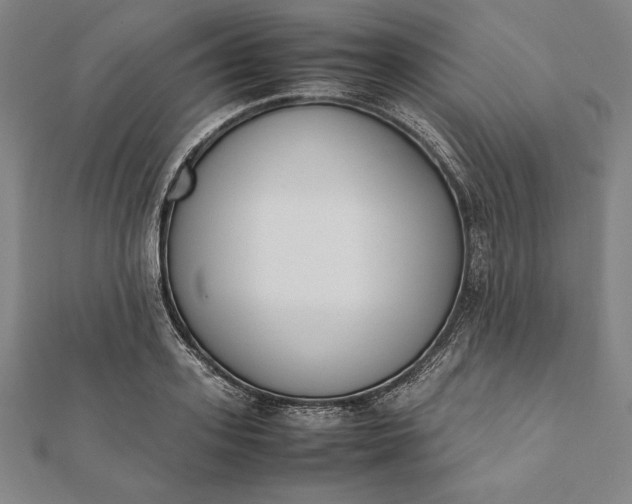 X0000112050939200908181133