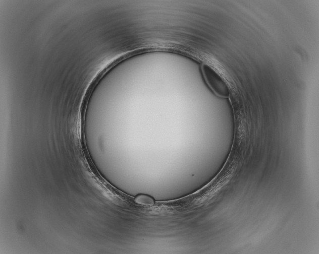 X0000112050940200908181133