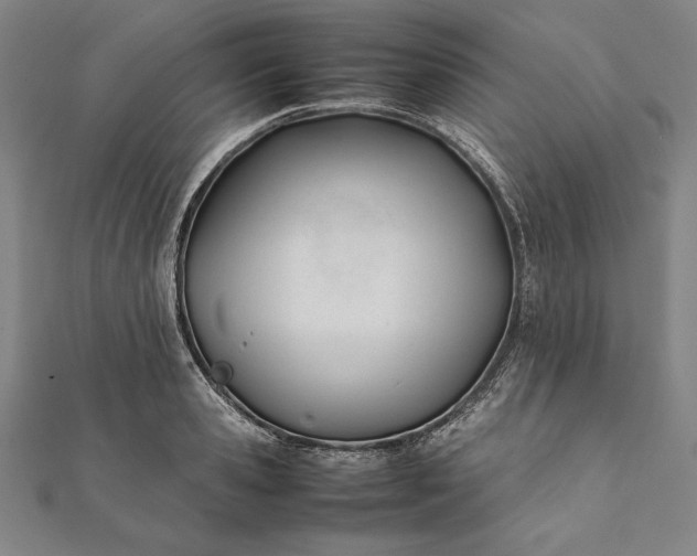 X0000112050941200908181133