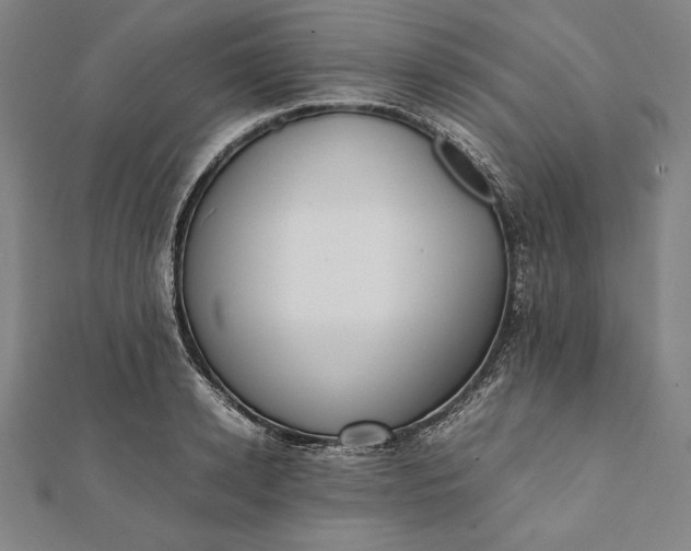 X0000112050942200908181133