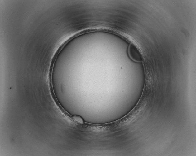 X0000112050943200908181134