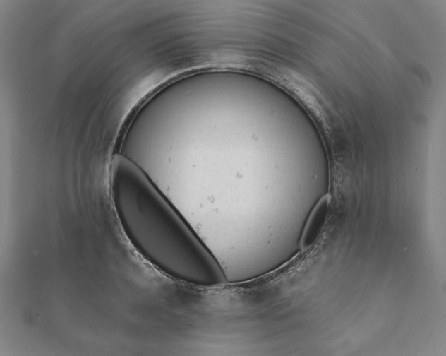 X0000112050944200908181134