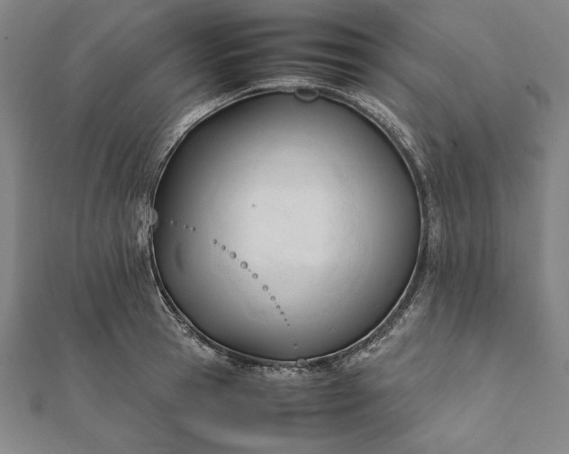 X0000112050945200908181134