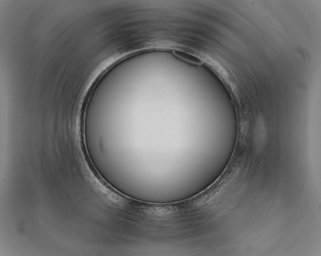 X0000112050947200908181134