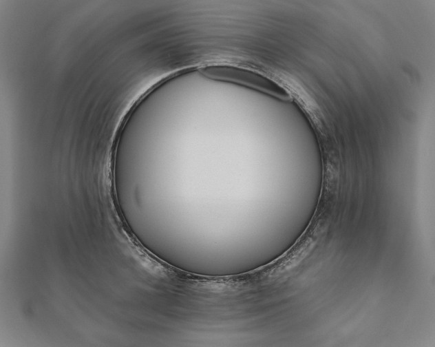 X0000112050948200908181134