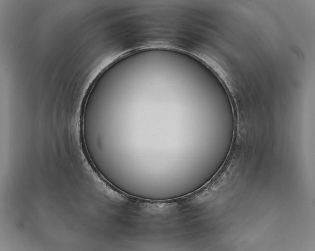 X0000112050949200908181134