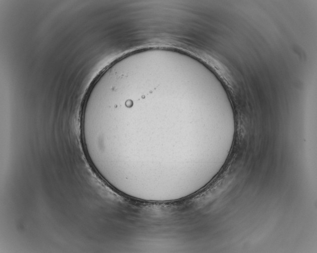 X0000112050950200908181134