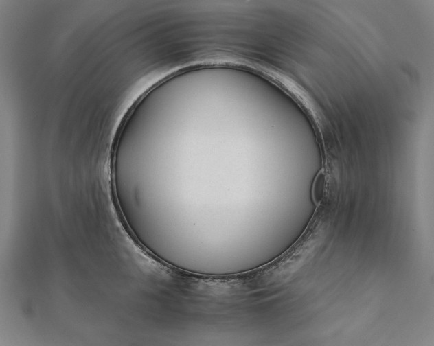 X0000112050951200908181134