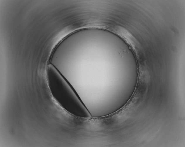 X0000112050952200908181134