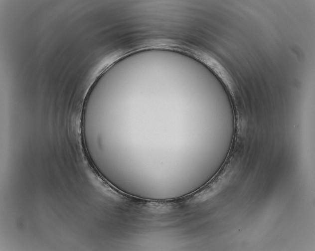 X0000112050954200908181134