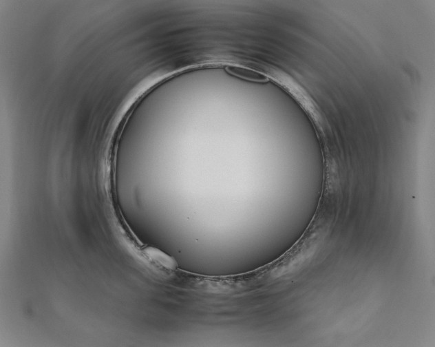 X0000112050955200908181134