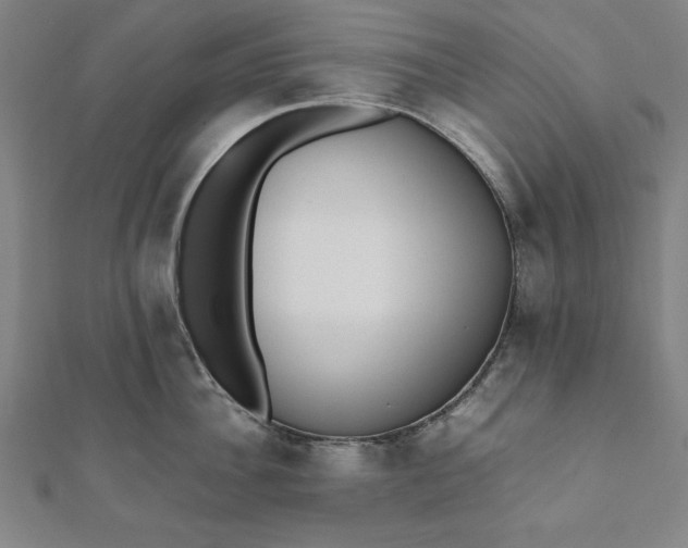 X0000112050956200908181134