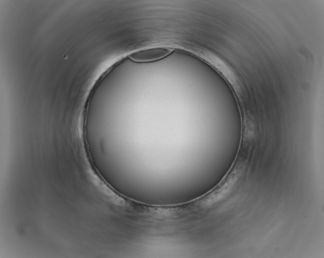 X0000112050958200908181134