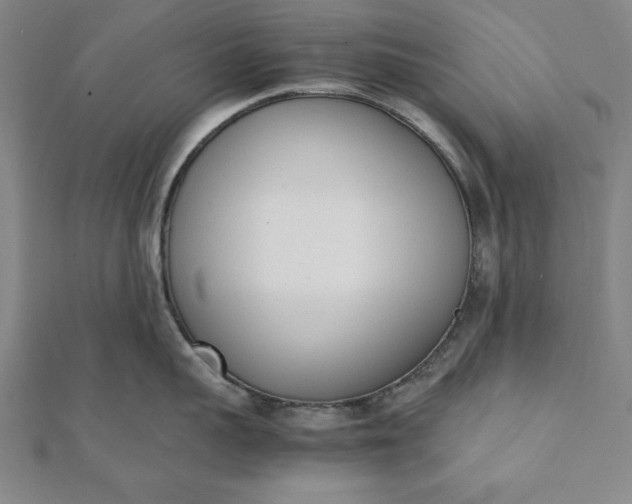 X0000112050959200908181134