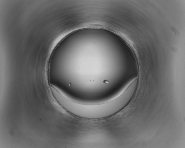 X0000112050960200908181134