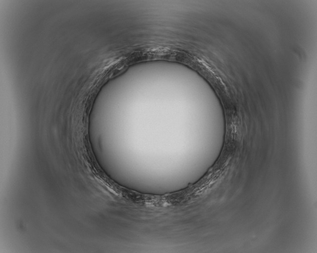 X0000112050961200908181133