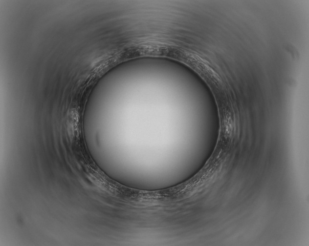 X0000112050964200908181133