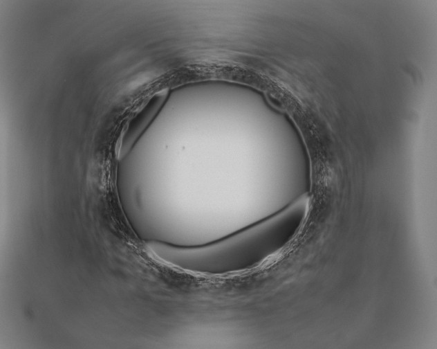 X0000112050965200908181133