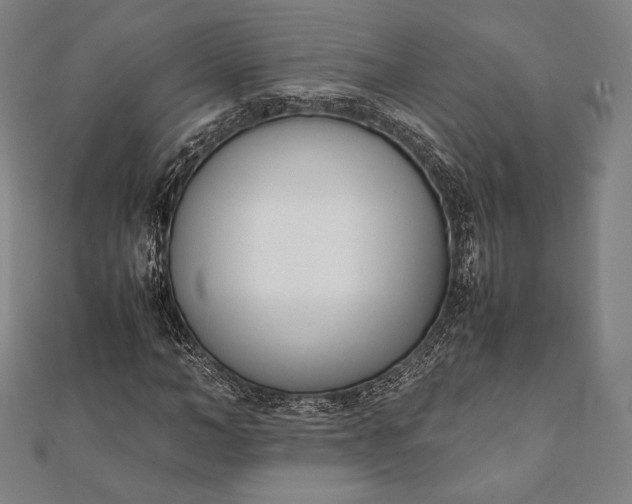 X0000112050966200908181133