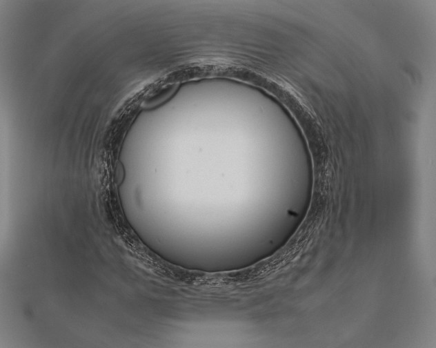 X0000112050967200908181133