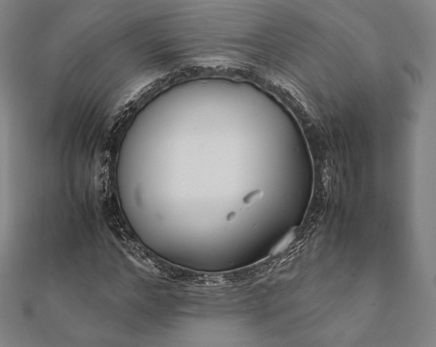 X0000112050968200908181133