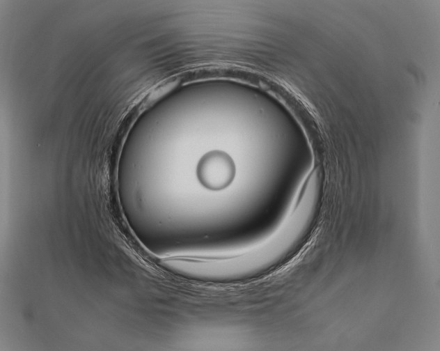 X0000112050969200908181133