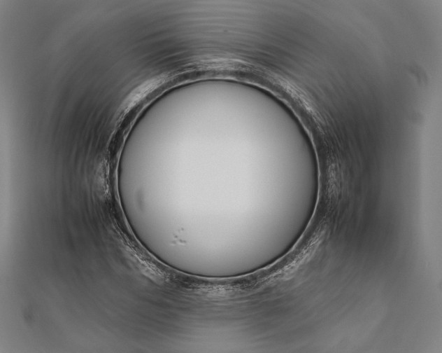 X0000112050970200908181133