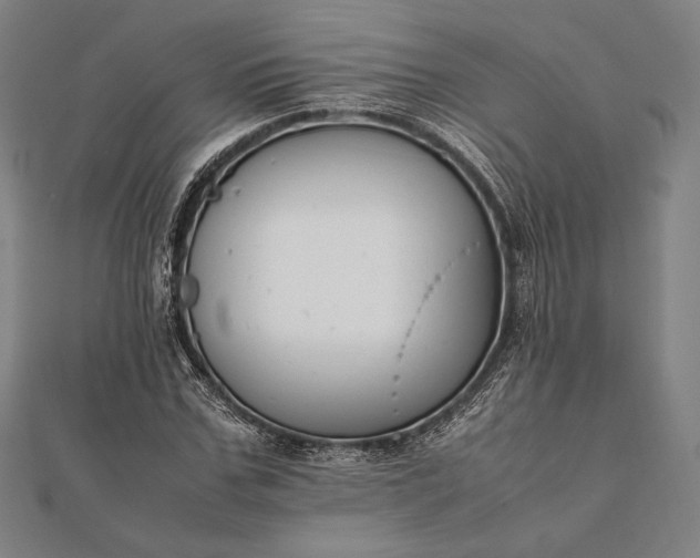 X0000112050971200908181133