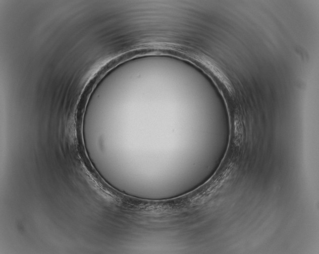 X0000112050972200908181133