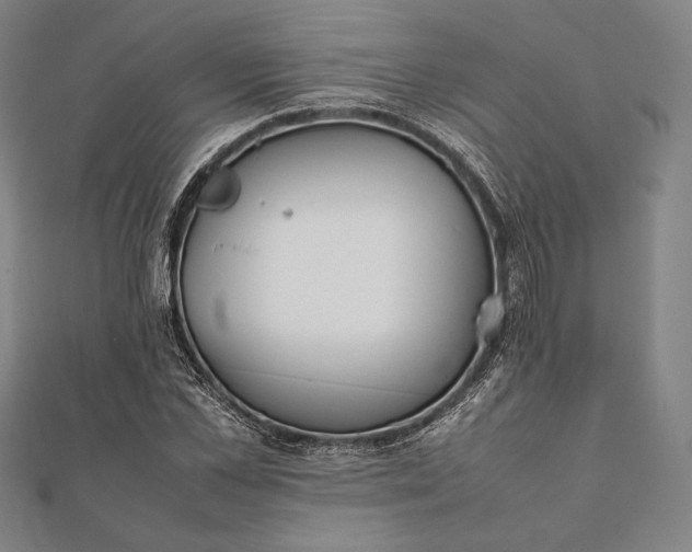 X0000112050973200908181133