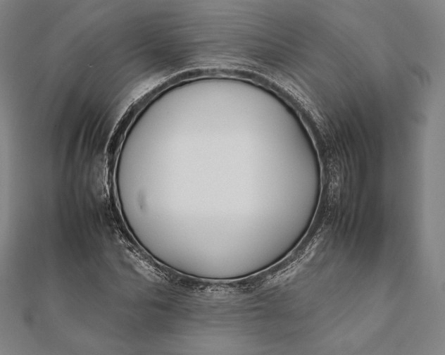 X0000112050974200908181133