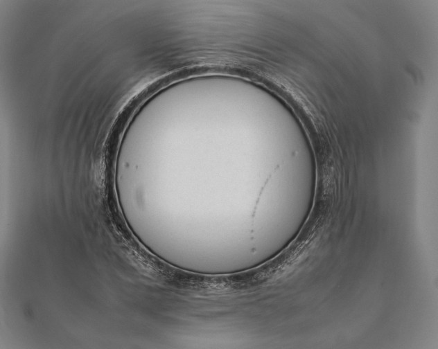 X0000112050975200908181133